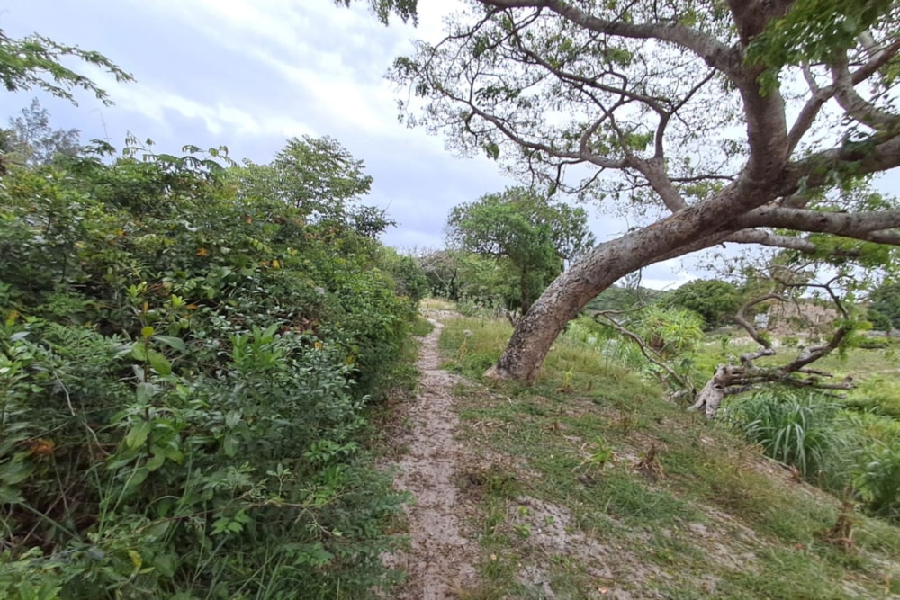 Vacant land for investment in Praia do Bilene, Gaza, Mozambique - 3MQ1736523