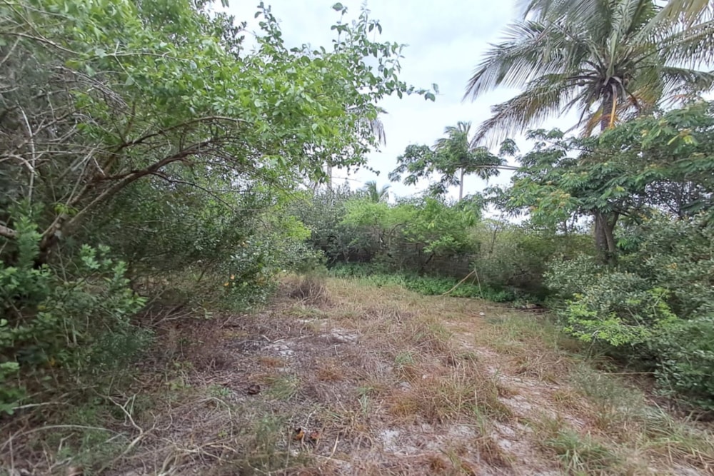Vacant land for investment in Praia do Bilene, Gaza, Mozambique - 3MQ1736523
