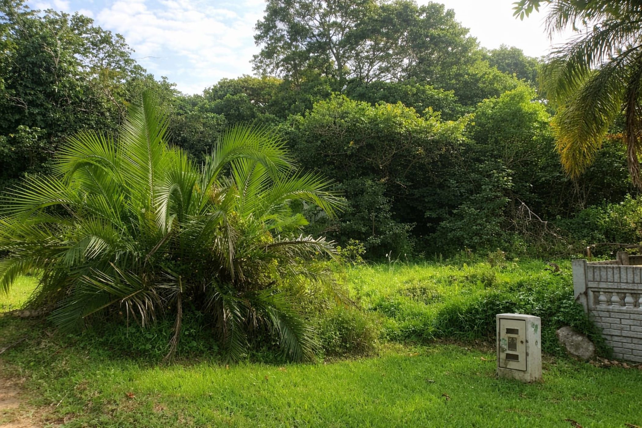 Vacant land for sale in Catalina - 1PSH1736826