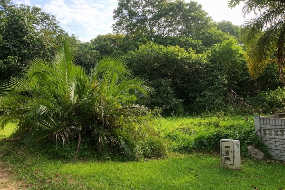 Vacant land for sale in Catalina - 1PSH1736826 Vacant land for sale in Catalina - 1PSH1736826