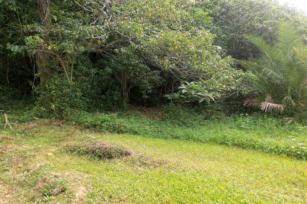 Vacant land for sale in Catalina - 1PSH1736826 Vacant land for sale in Catalina - 1PSH1736826