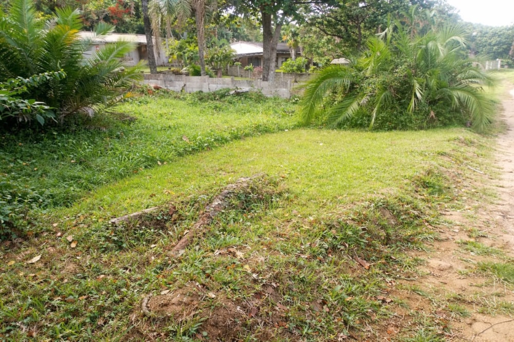 Vacant land for sale in Catalina - 1PSH1736826 Vacant land for sale in Catalina - 1PSH1736826