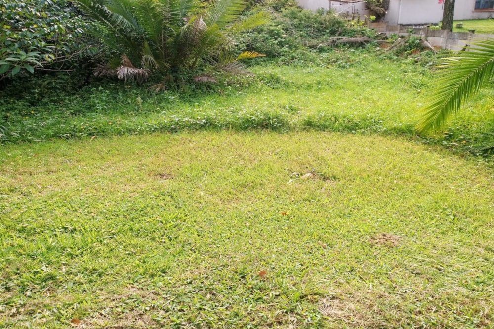 Vacant land for sale in Catalina - 1PSH1736826 Vacant land for sale in Catalina - 1PSH1736826