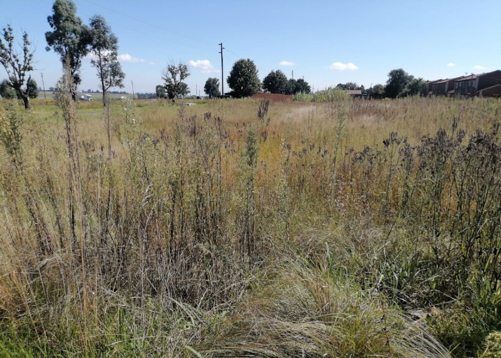 Vacant land for sale in Hendrina - 1MD1736575 Vacant land for sale in Hendrina - 1MD1736575