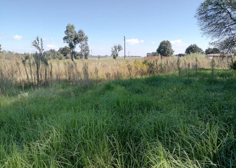 Vacant land for sale in Hendrina - 1MD1736575 Vacant land for sale in Hendrina - 1MD1736575