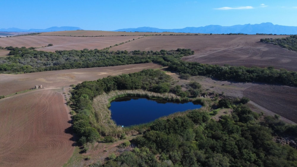 Lifestyle property for sale in Heidelberg, Garden Route - 1SW1737077