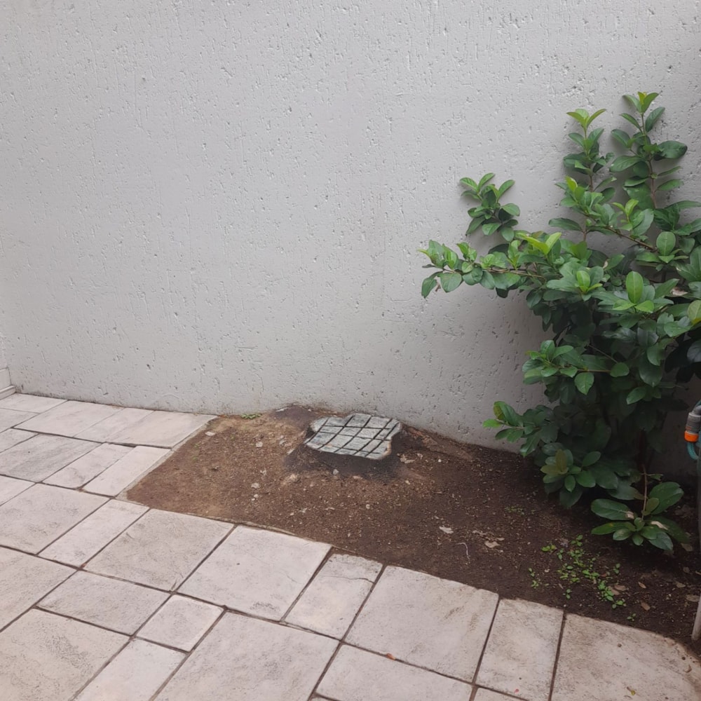 Bachelor apartment to rent in Douglasdale - FYL1736591