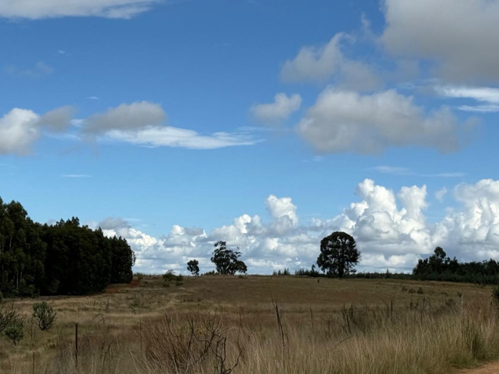 Farm vacant land for sale in Belfast Rural - 1DS1736633