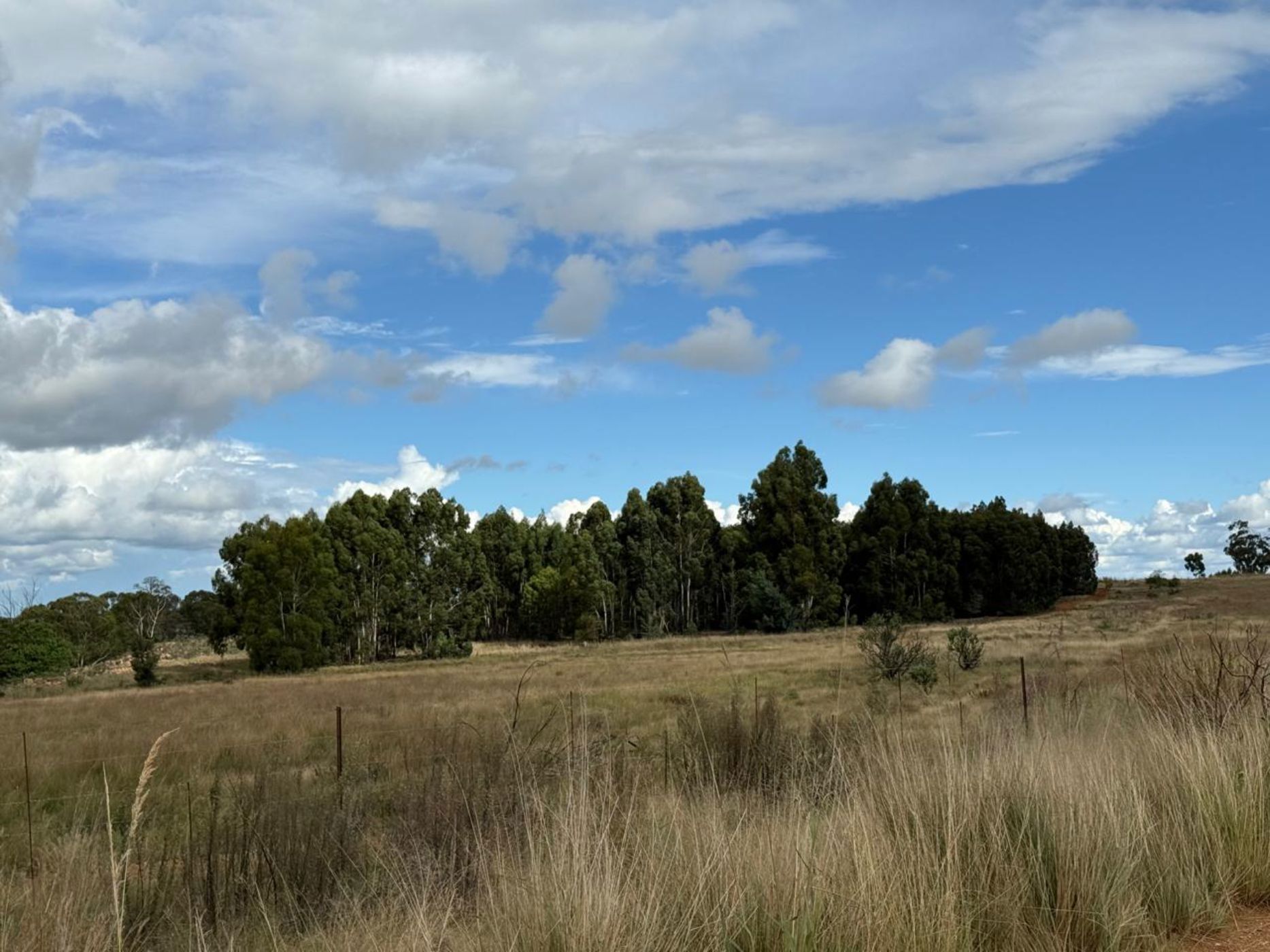 Farm vacant land for sale in Belfast Rural - 1DS1736633