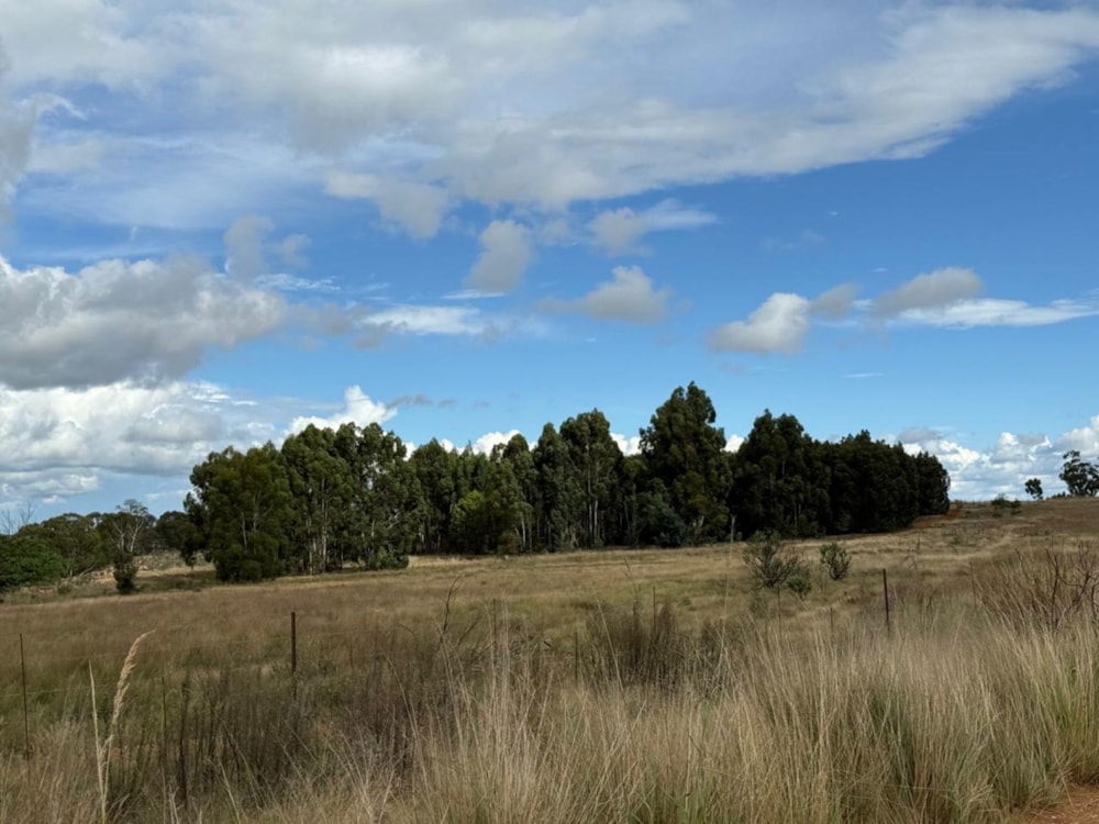 Farm vacant land for sale in Belfast Rural - 1DS1736633