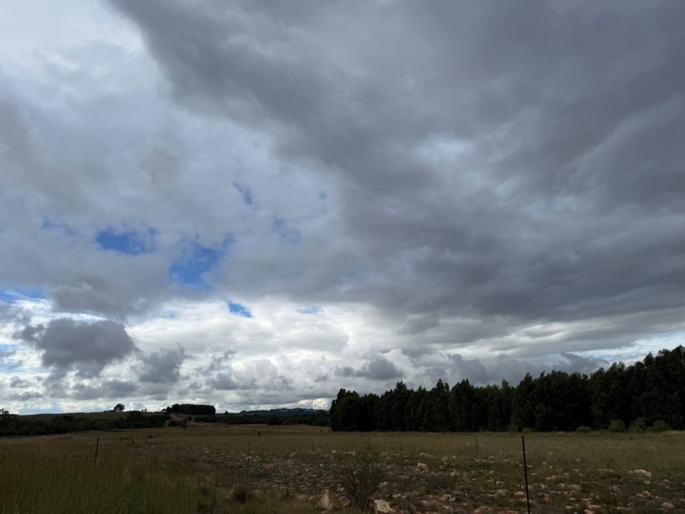 Farm vacant land for sale in Belfast Rural - 1DS1736633