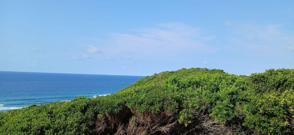 Vacant land for investment in Inhambane, Inhambane, Mozambique - 3MQ1736791