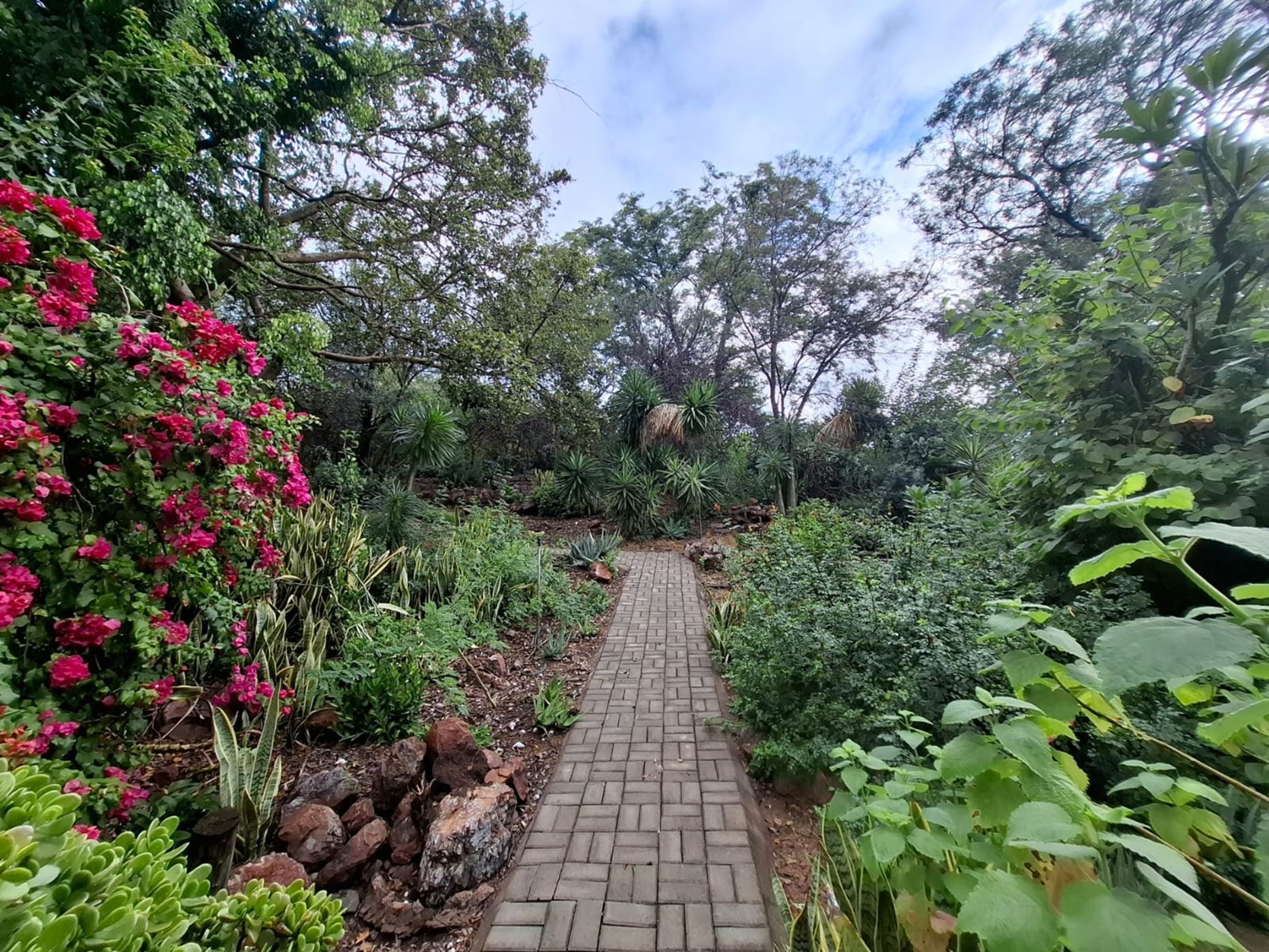 House for sale in Thabazimbi - 1ER1736802