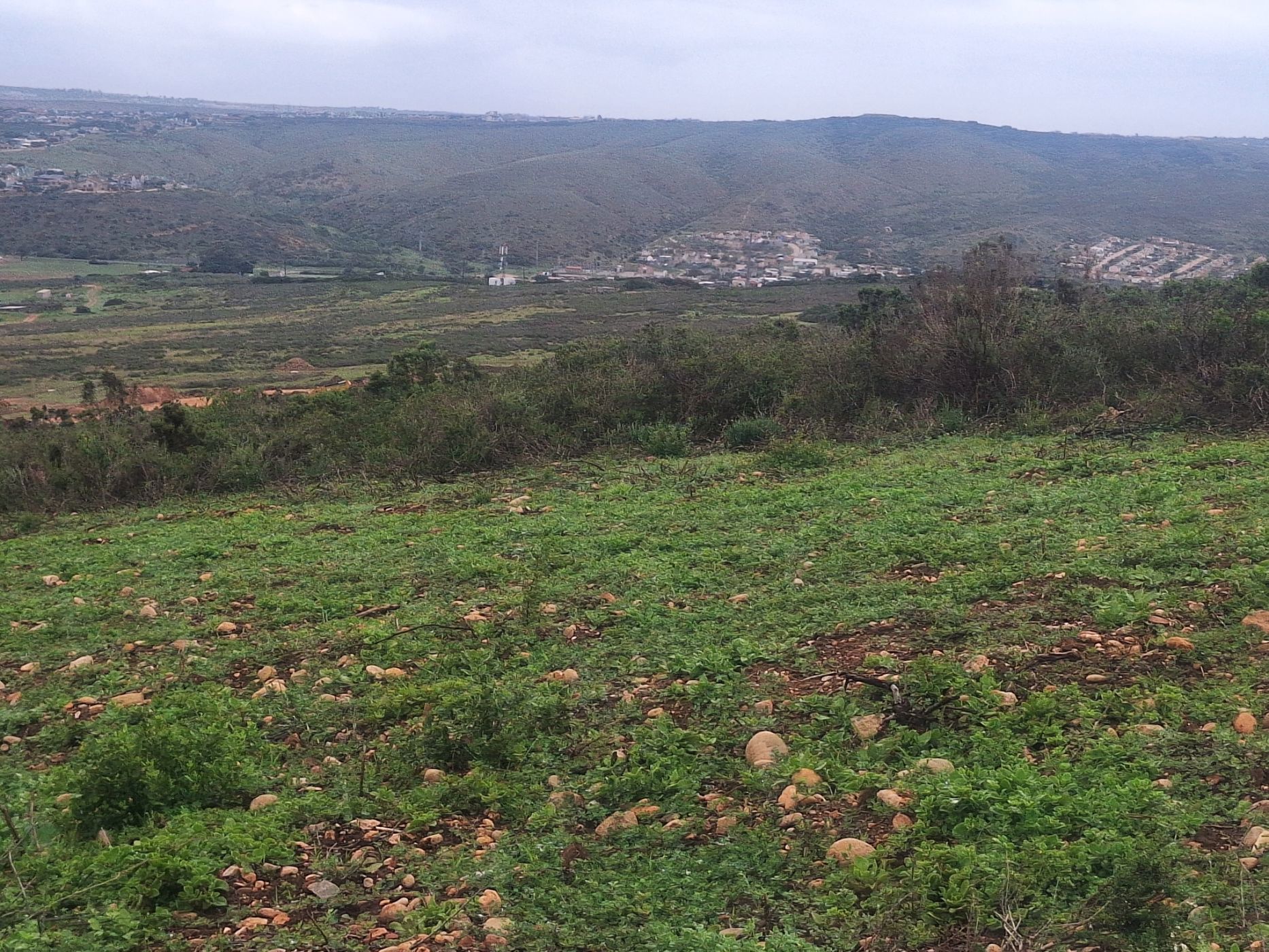 Residential vacant land for sale in Outeniquasbosch Wildlife Village - 1MB1736849