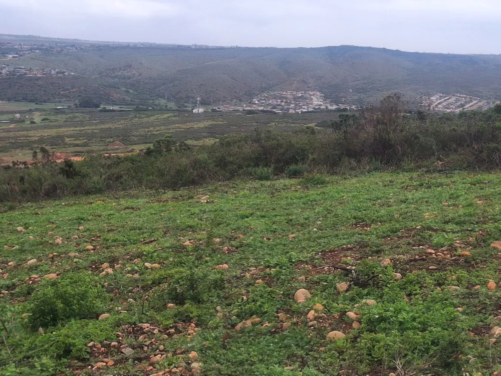 Residential vacant land sold in Outeniquasbosch Wildlife Village - 1MB1736849 Residential vacant land sold in Outeniquasbosch Wildlife Village - 1MB1736849