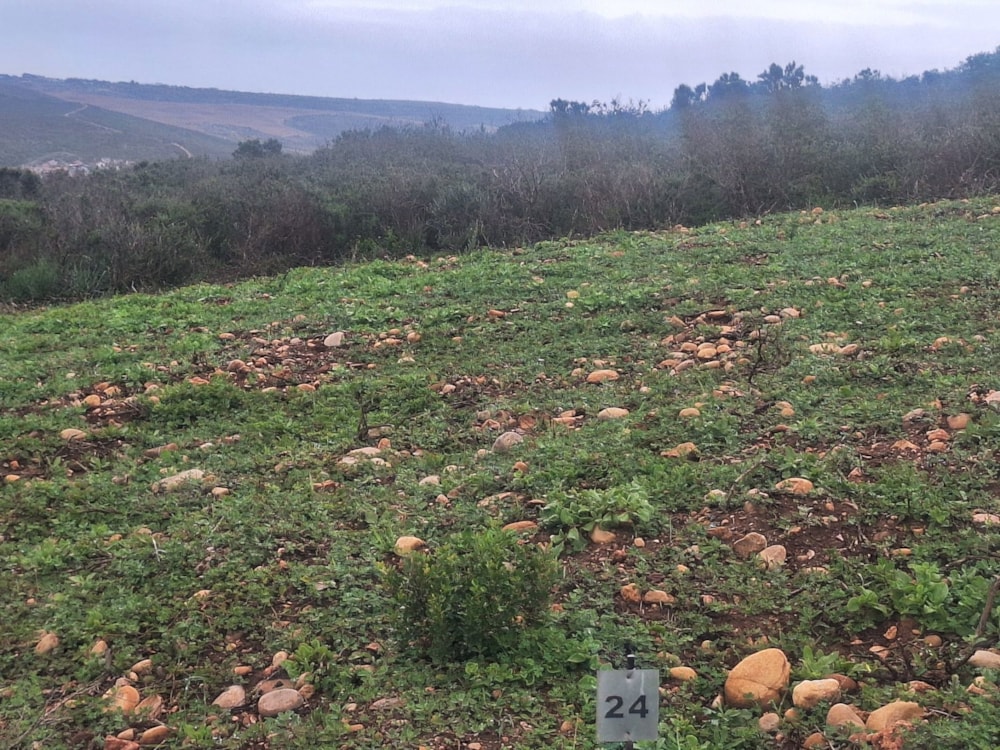 Residential vacant land for sale in Outeniquasbosch Wildlife Village - 1MB1736849