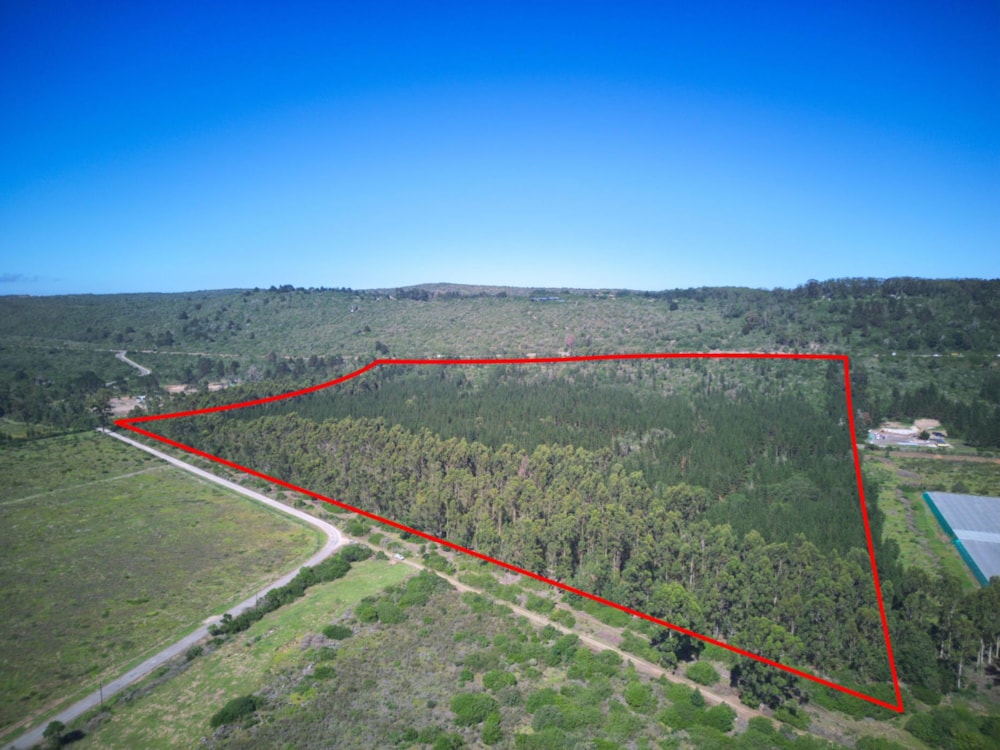 Plantation for sale in Sedgefield Rural - 1SH1736922