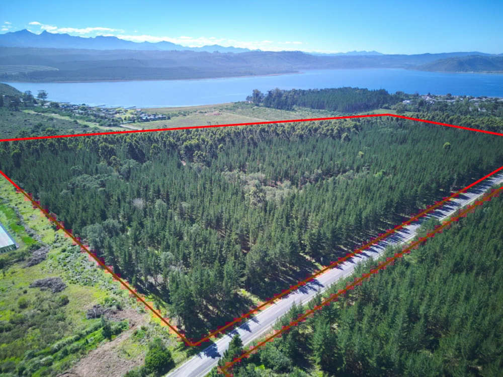 Plantation for sale in Sedgefield Rural - 1SH1736922