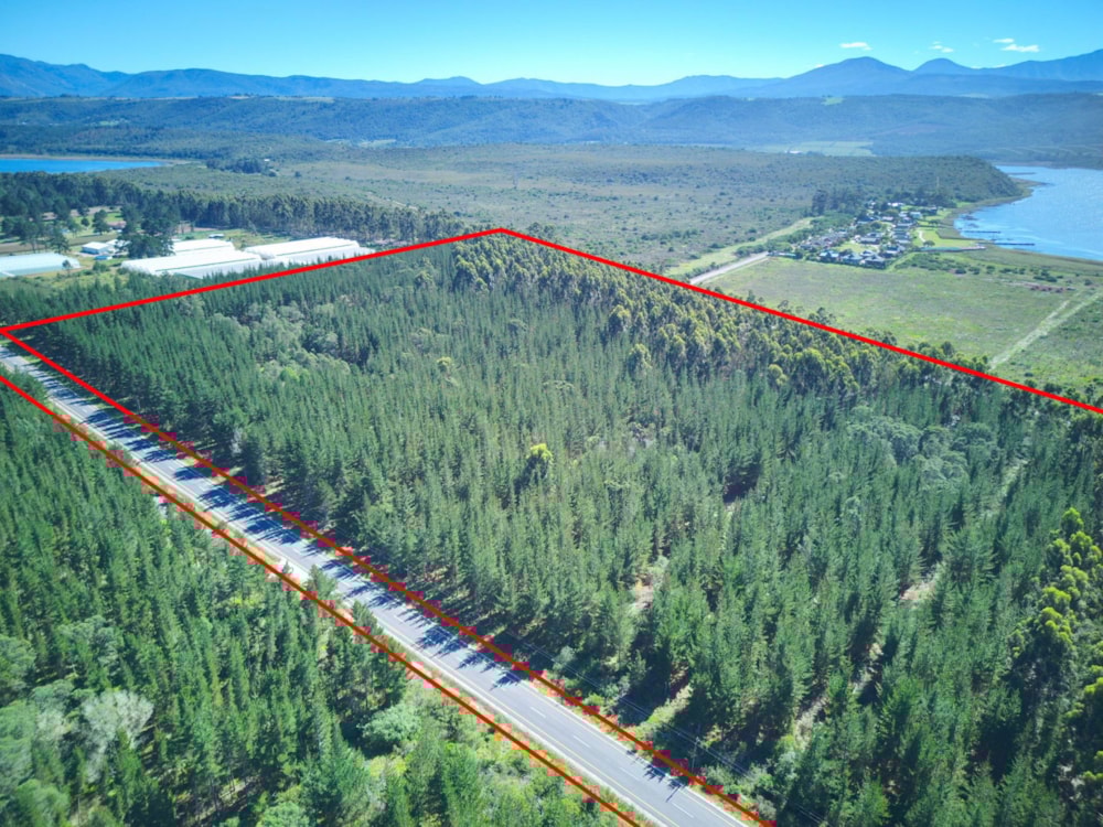 Plantation for sale in Sedgefield Rural - 1SH1736922