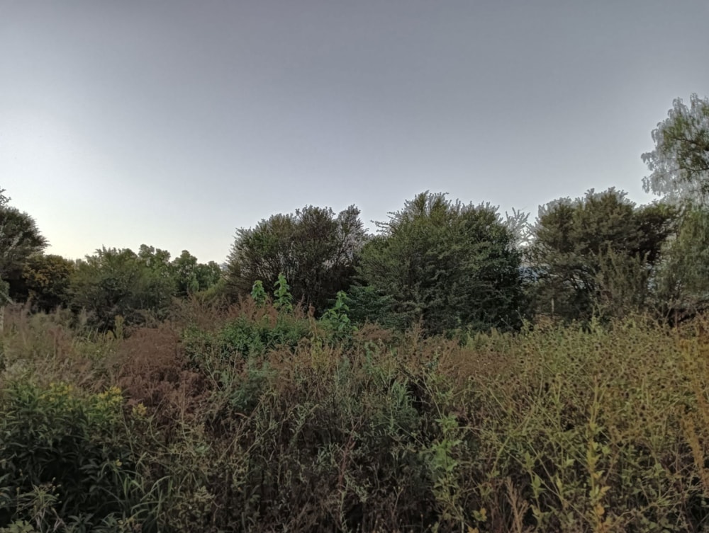 Vacant land for sale in Brandfort - 1BX1736911