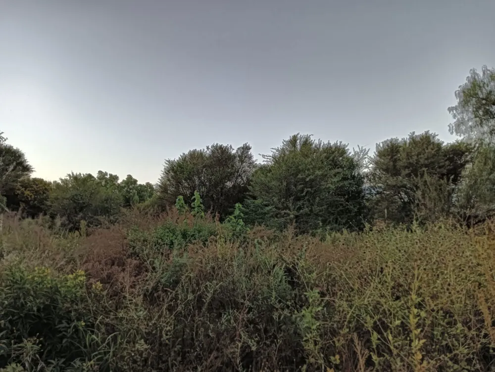 Vacant land for sale in Brandfort - 1BX1736911 Vacant land for sale in Brandfort - 1BX1736911