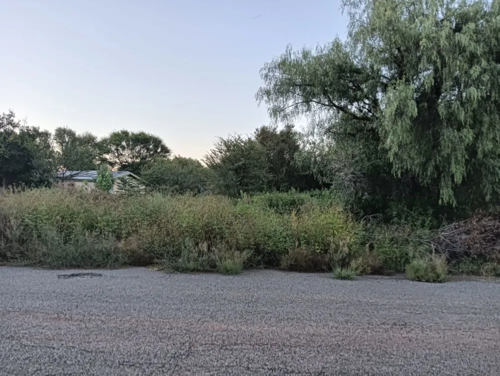 Vacant land for sale in Brandfort - 1BX1736911 Vacant land for sale in Brandfort - 1BX1736911