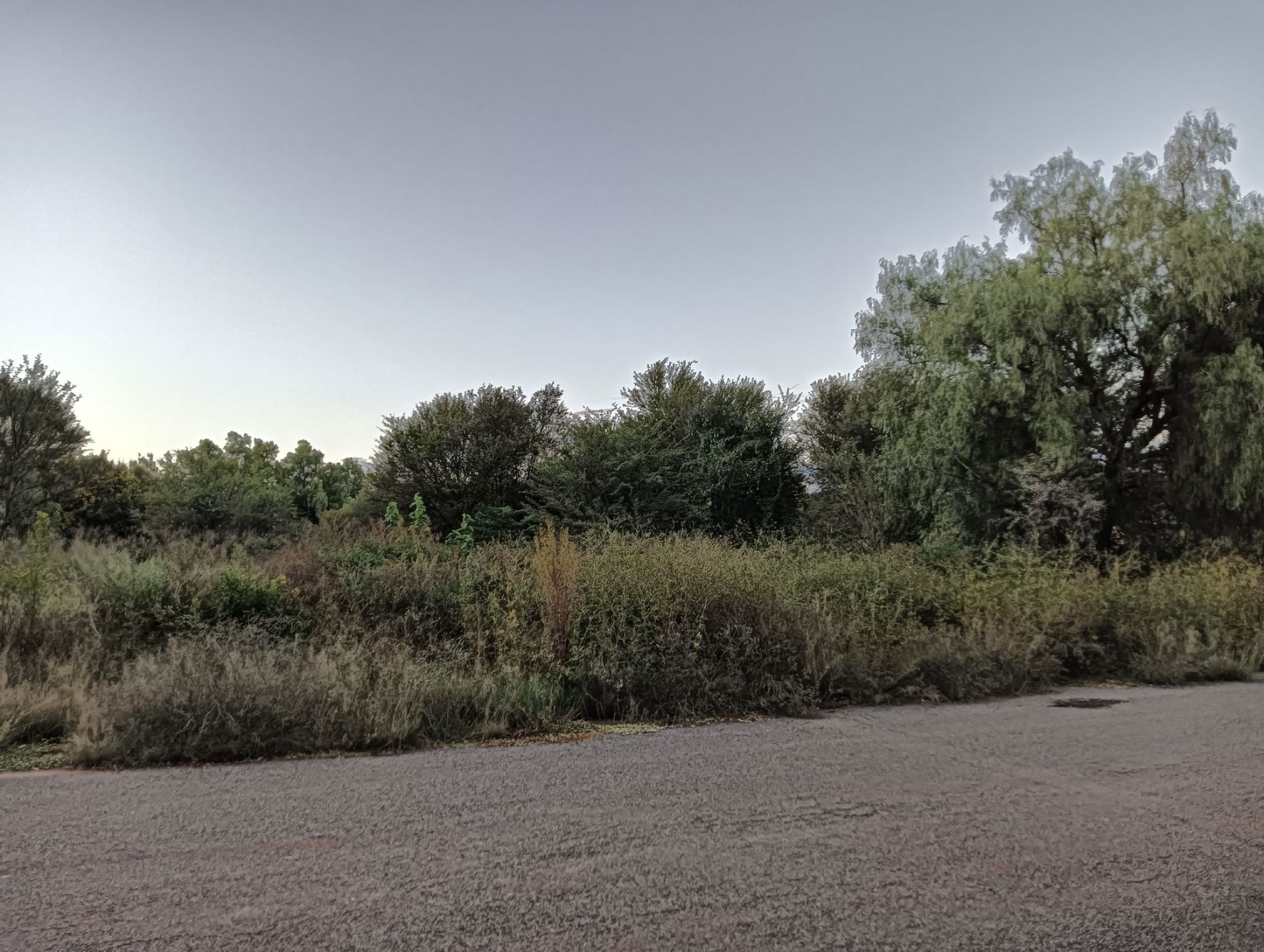 Vacant land for sale in Brandfort - 1BX1736911