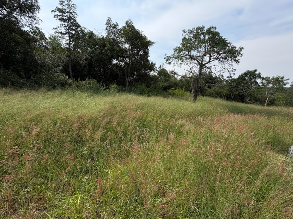 Vacant land for sale in Kamagugu - 1NS1737186