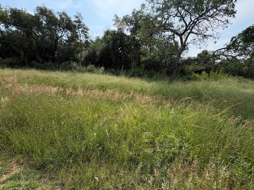 Vacant land for sale in Kamagugu - 1NS1737186
