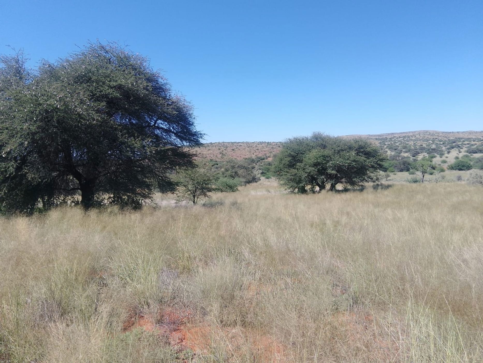 Farm vacant land for sale in Kathu Farms - 1RN1737581