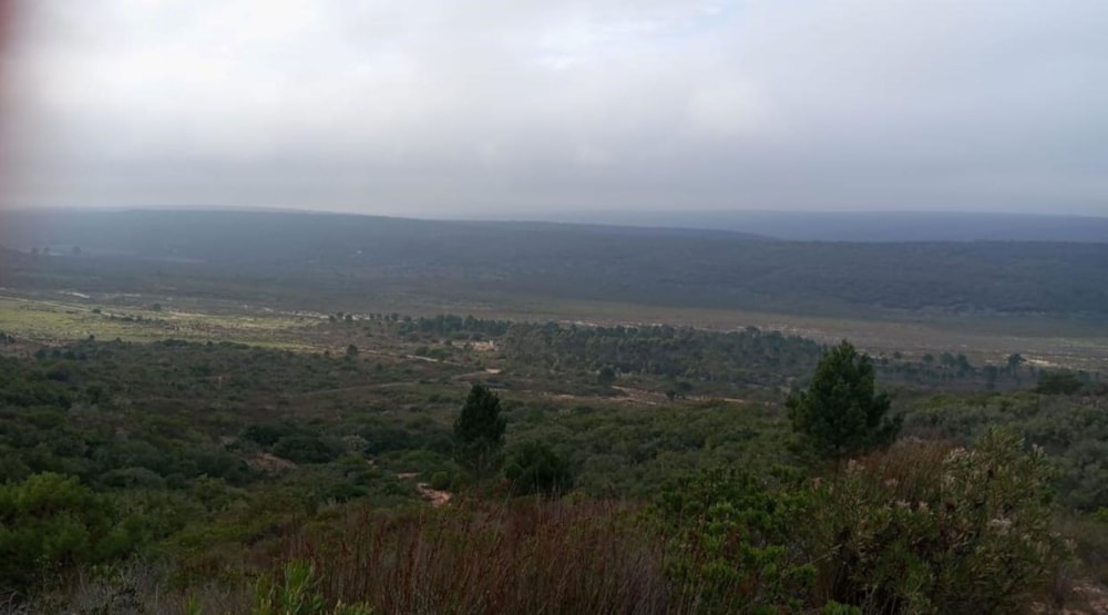 Farm vacant land for sale in Albertinia - 1SR1737099