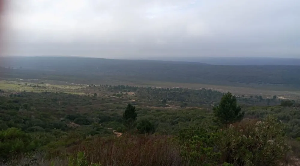Farm vacant land for sale in Albertinia - 1SR1737099 Farm vacant land for sale in Albertinia - 1SR1737099