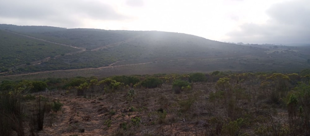 Farm vacant land for sale in Albertinia - 1SR1737099