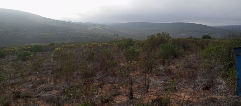 Farm vacant land for sale in Albertinia - 1SR1737099