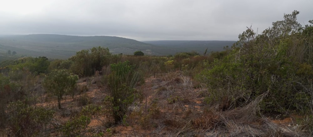 Farm vacant land for sale in Albertinia - 1SR1737099