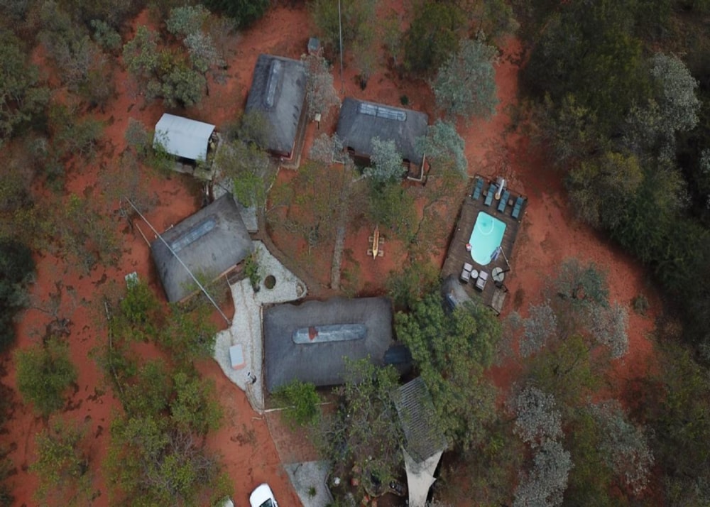 Game farm for sale in Elias Motsoaledi, Limpopo Province - 1MD1737193