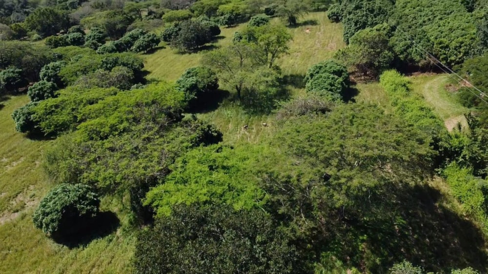 Vacant land for sale in Lushof A H - 1TA1737335