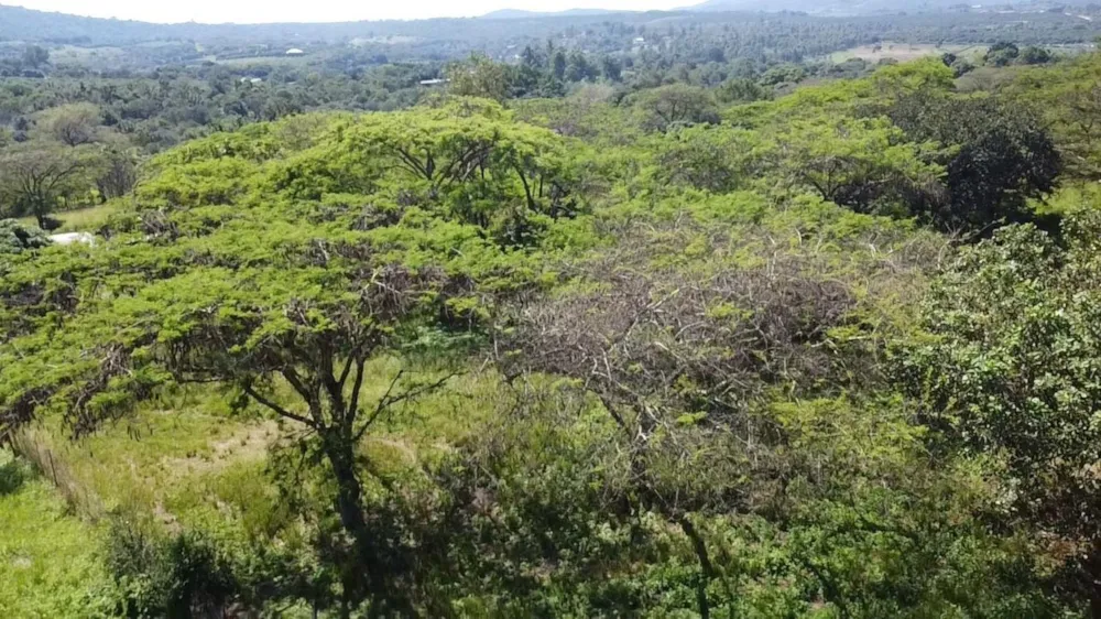 Vacant land for sale in Lushof A H - 1TA1737335