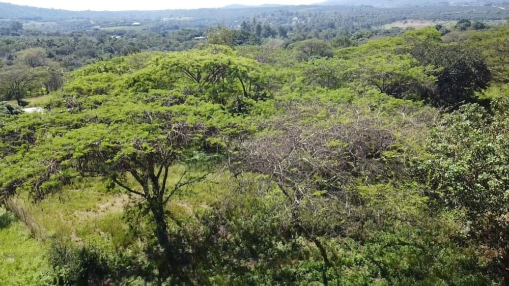 Vacant land for sale in Lushof A H - 1TA1737335