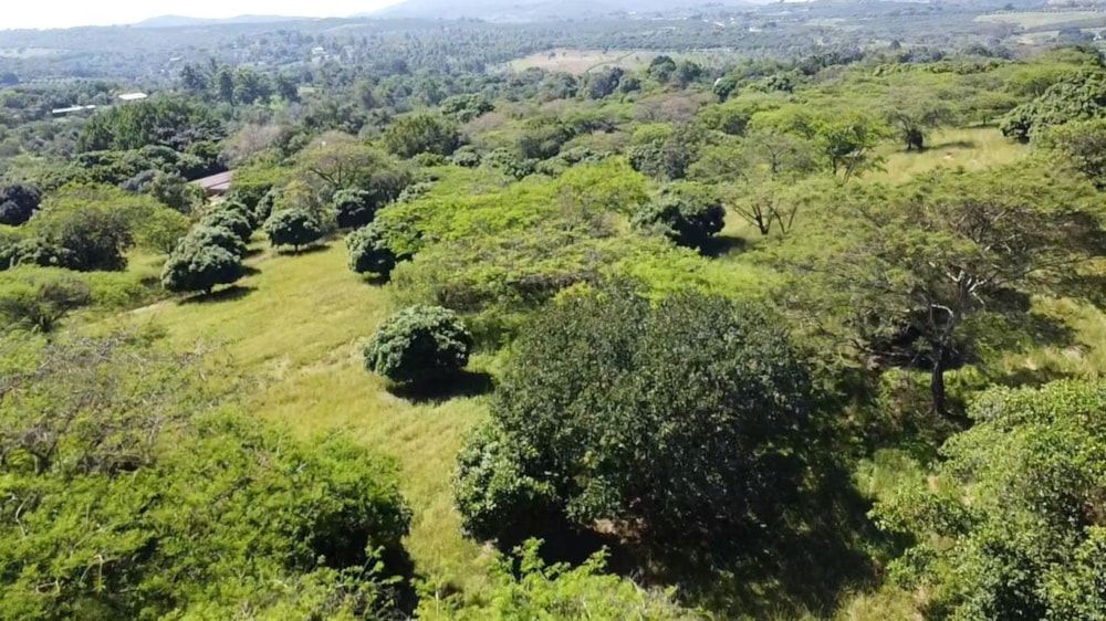 Vacant land for sale in Lushof A H - 1TA1737335