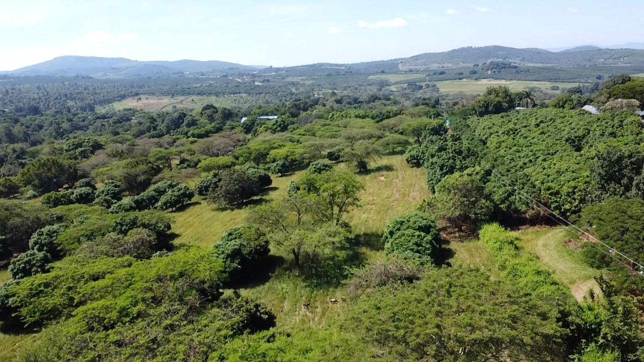 Vacant land for sale in Lushof A H - 1TA1737335