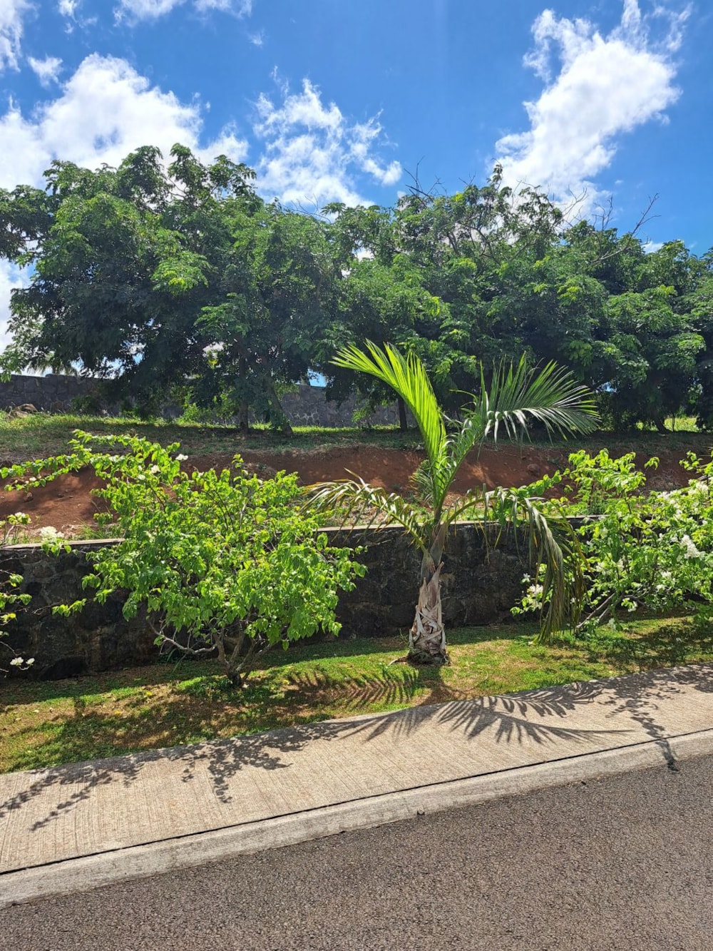 Vacant land for sale in Mapou, Mauritius - MPR1737420