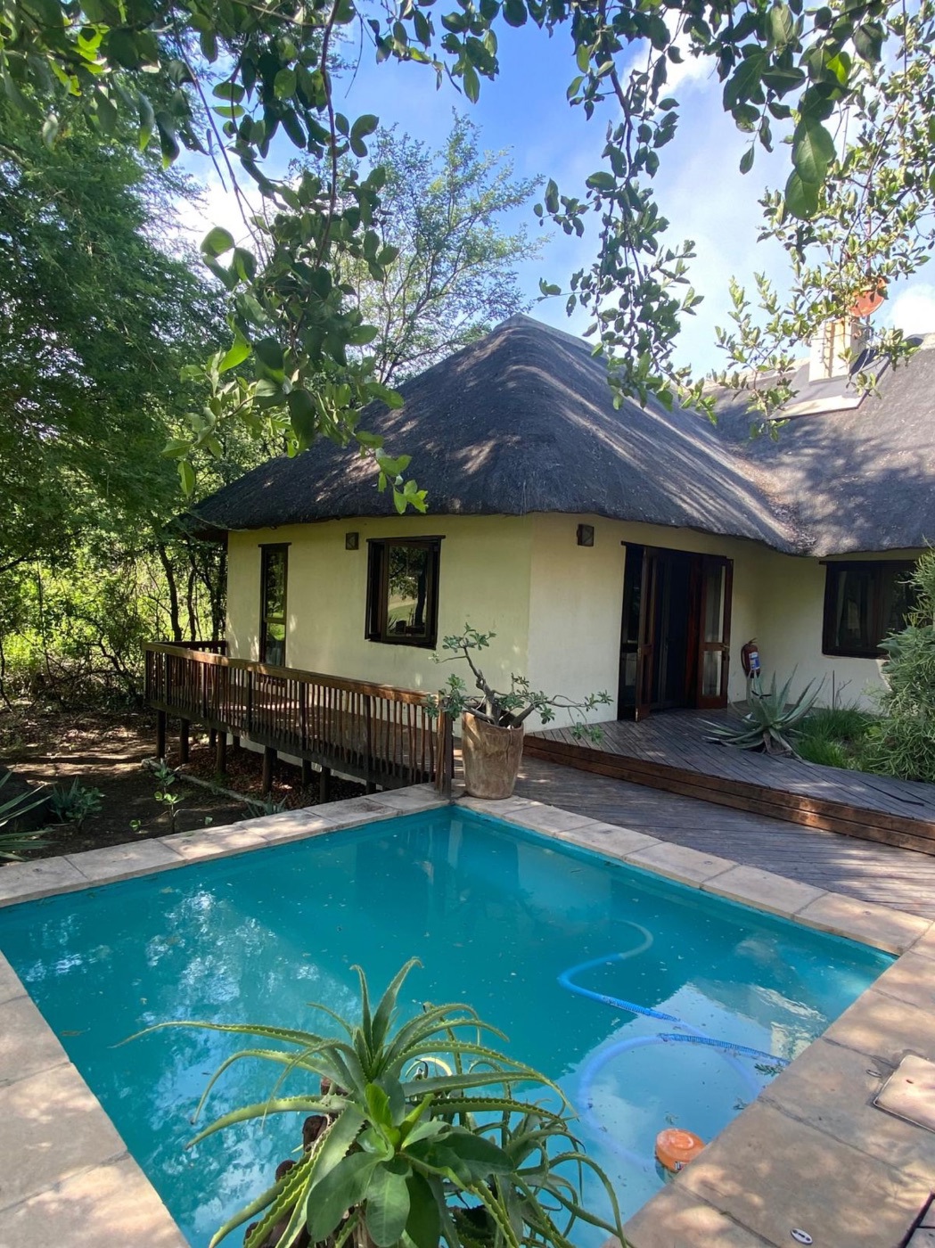 House for sale in Phalaborwa - 1PW1737485