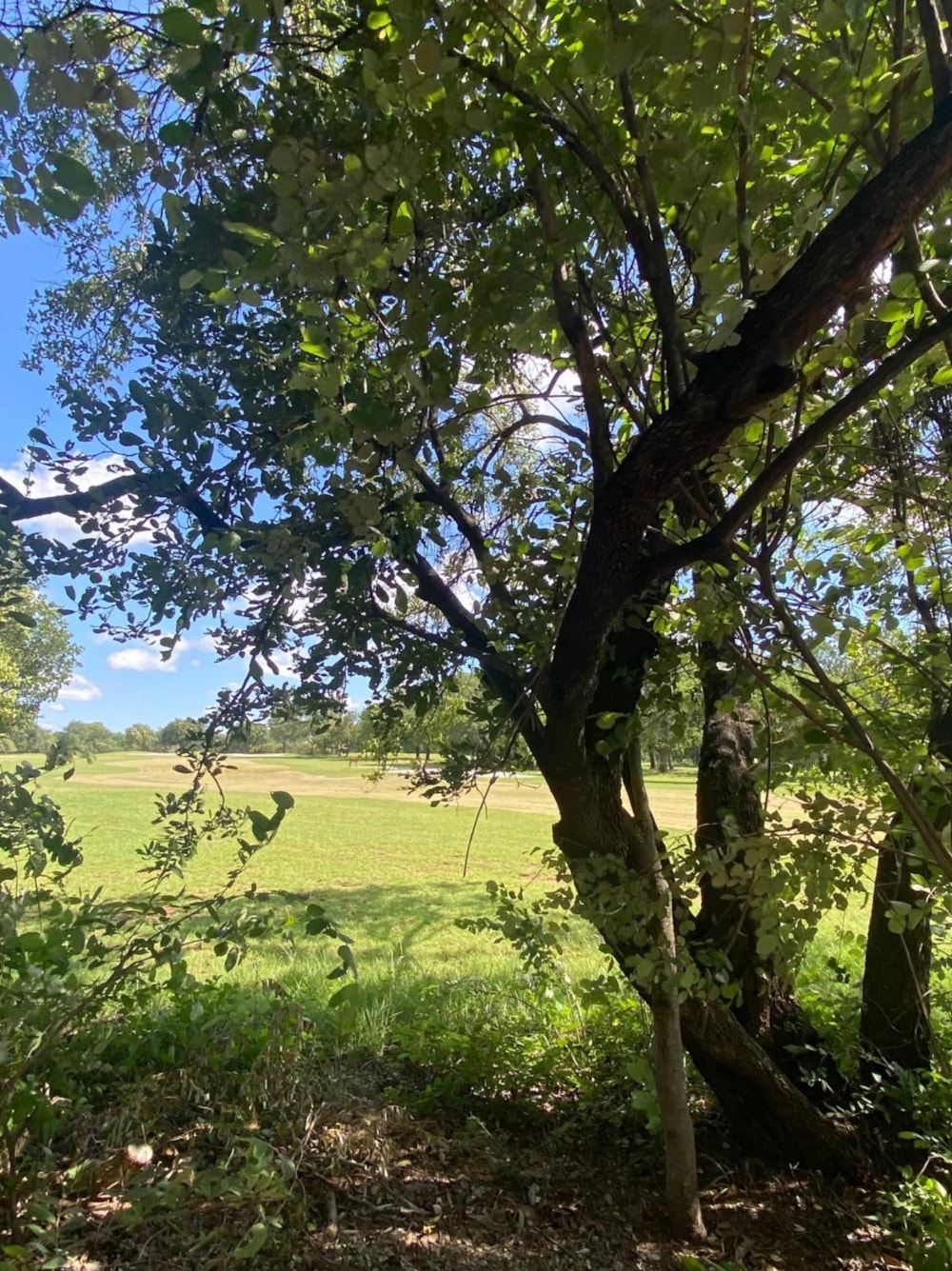 House for sale in Phalaborwa - 1PW1737485