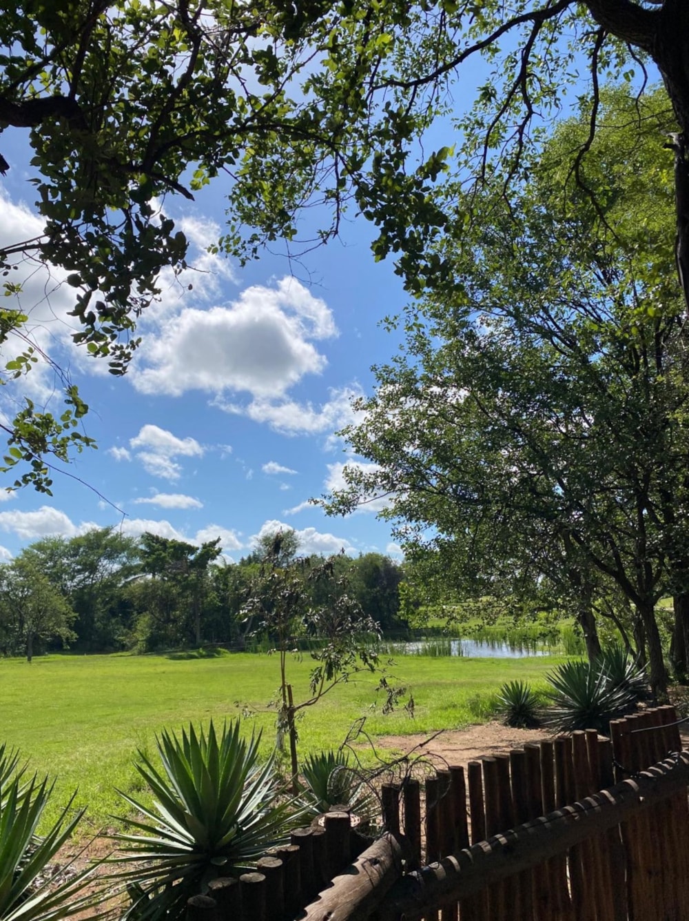 House for sale in Phalaborwa - 1PW1737485