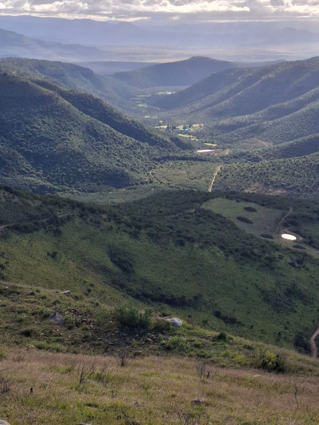 Mixed use farm for sale in Somerset East - 1KK1737589