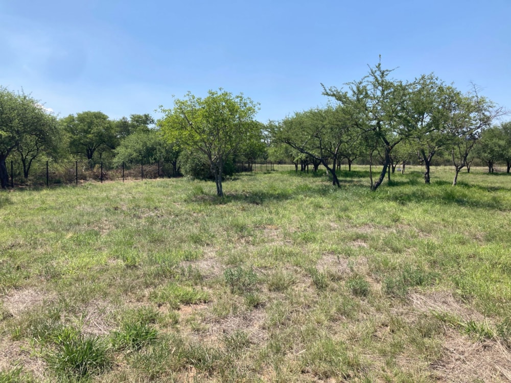 Commercial vacant land for sale in Hoedspruit - 1HS1737646