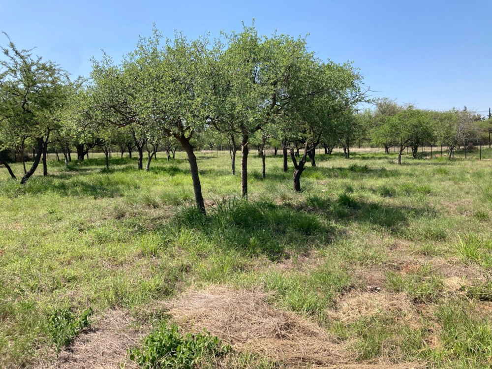 Commercial vacant land for sale in Hoedspruit - 1HS1737646