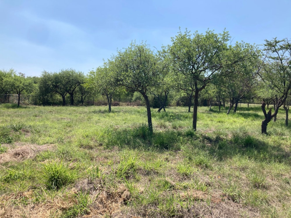 Commercial vacant land for sale in Hoedspruit - 1HS1737646