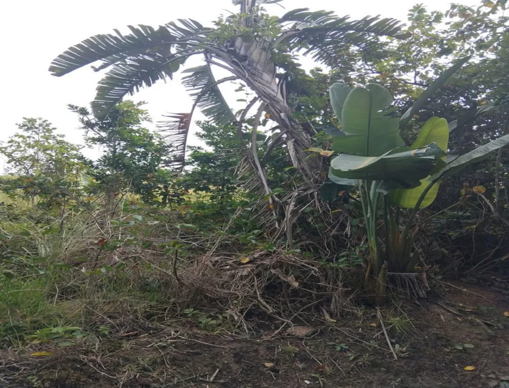Vacant land for sale in Elysium - 1SI1738228 Vacant land for sale in Elysium - 1SI1738228